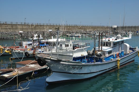 从“买基金”到“找投顾” 一位退休高管20年的投资启示 新闻