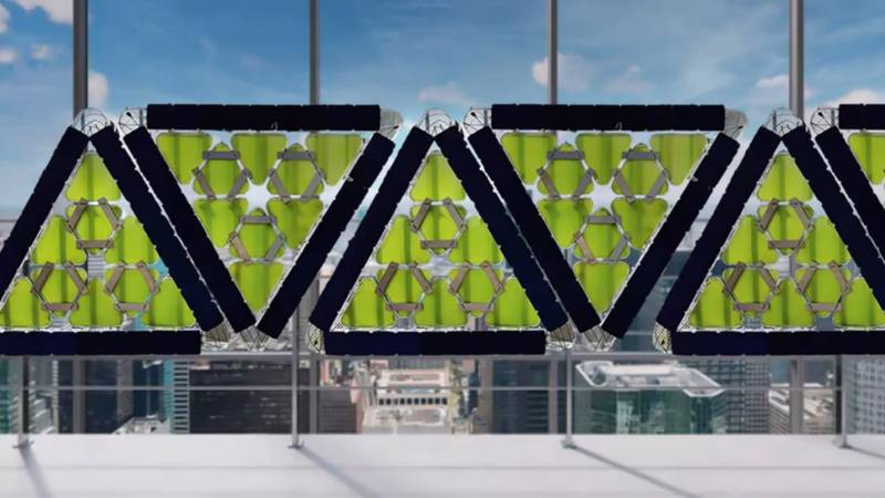  新知 绿色藻类建筑板：能发电，还可吸收二氧化碳 新闻