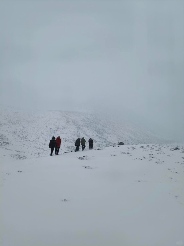  风雪深处守望黎明；牛棚一夜，女子用冷静书写生还；微笑背后，是那份无人知晓的歉疚 文化旅游