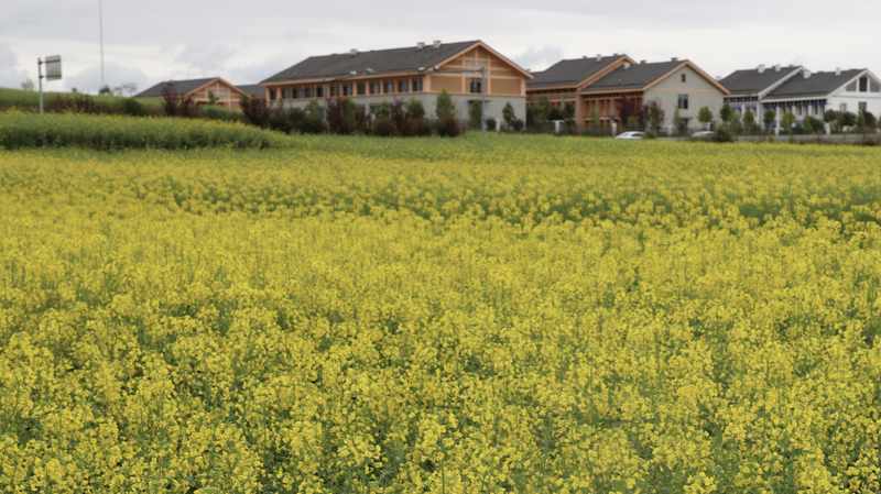  清明出游何必去婺源凑热闹？逻辑剖析：为什么小众秘境才是春日旅行的最优解 新闻 清明出游何必去婺源凑热闹？逻辑剖析：为什么小众秘境才是春日旅行的最优解 新闻 清明出游何必去婺源凑热闹？逻辑剖析：为什么小众秘境才是春日旅行的最优解 新闻