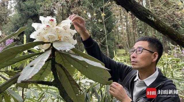  【深度技术复盘】高山杜鹃迁地保育29年：凸尖杜鹃首次开花的科学突破与数据全解 新闻 【深度技术复盘】高山杜鹃迁地保育29年：凸尖杜鹃首次开花的科学突破与数据全解 新闻 【深度技术复盘】高山杜鹃迁地保育29年：凸尖杜鹃首次开花的科学突破与数据全解 新闻 【深度技术复盘】高山杜鹃迁地保育29年：凸尖杜鹃首次开花的科学突破与数据全解 新闻 【深度技术复盘】高山杜鹃迁地保育29年：凸尖杜鹃首次开花的科学突破与数据全解 新闻 【深度技术复盘】高山杜鹃迁地保育29年：凸尖杜鹃首次开花的科学突破与数据全解 新闻