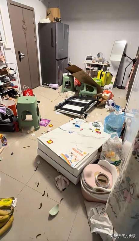 从洗碗机事件透视:中低收入家庭的财务危机与消费决策逻辑 情感心理