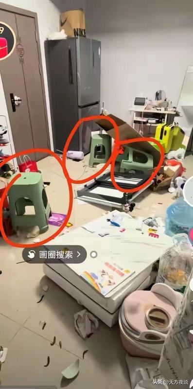 从洗碗机事件透视:中低收入家庭的财务危机与消费决策逻辑 情感心理
