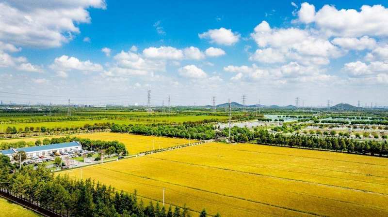  松江文旅产业联动体系深度解析：长三角文旅投资新机遇与项目落地指南 文化旅游 松江文旅产业联动体系深度解析：长三角文旅投资新机遇与项目落地指南 文化旅游