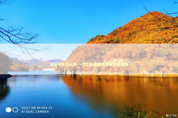 滞留中东怎么办 一文汇总最新信息和安全指南 新闻