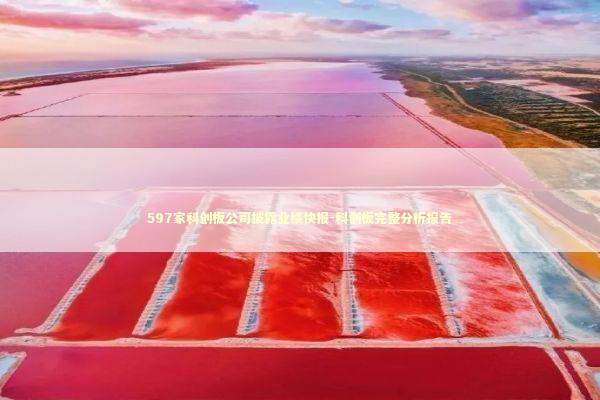 597家科创板公司披露业绩快报-科创板完整分析报告 新闻