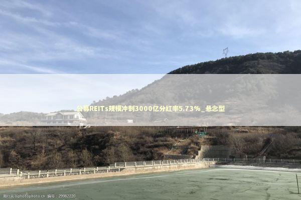 公募REITs规模冲刺3000亿分红率5.73%_悬念型 新闻