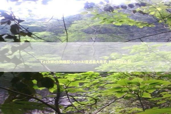 TechWeb微晚报OpenAI遭遇最大危机-科技圈议论型 新闻