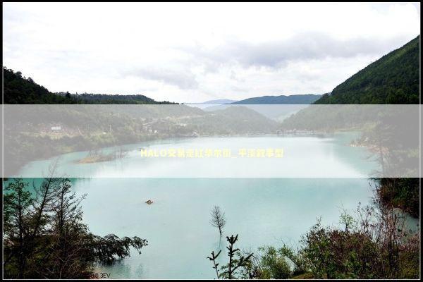 HALO交易走红华尔街_平淡叙事型 新闻