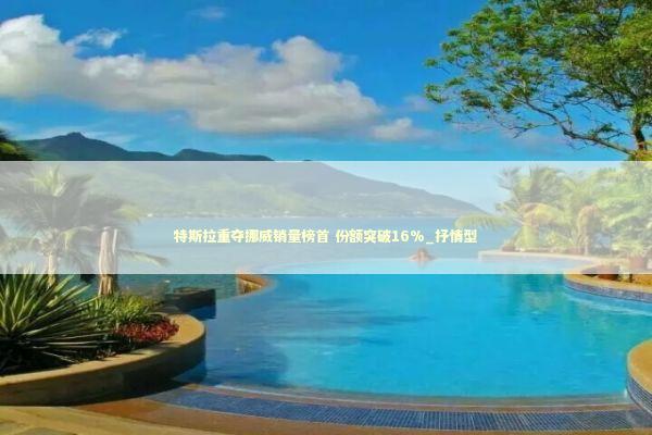 特斯拉重夺挪威销量榜首 份额突破16%_抒情型 新闻