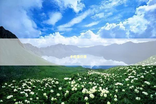 手机涨价潮 新闻