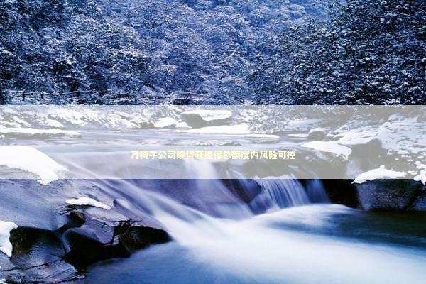 万科子公司续贷获担保总额度内风险可控 新闻