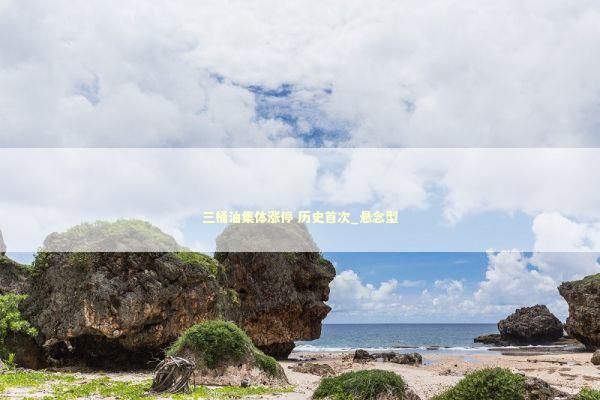 三桶油集体涨停 历史首次_悬念型 新闻