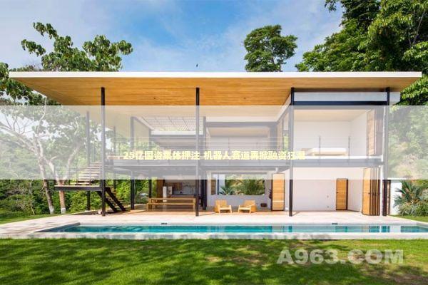 25亿国资集体押注 机器人赛道再掀融资狂潮 新闻