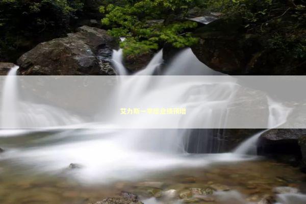 艾力斯一季度业绩预增 新闻