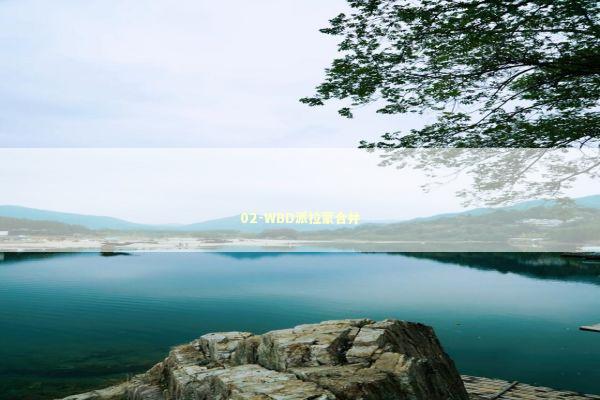 02-WBD派拉蒙合并 新闻