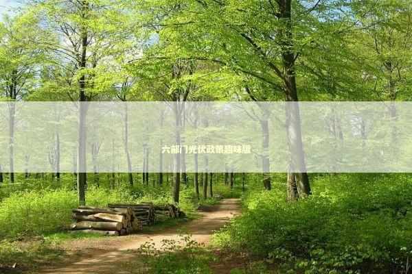 六部门光伏政策趣味版 新闻