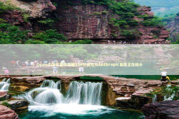 OpenAI年化营收突破250亿美元与Anthropic差距正在缩小 新闻