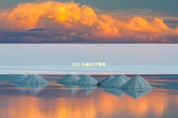 201-小米SU7事故 新闻