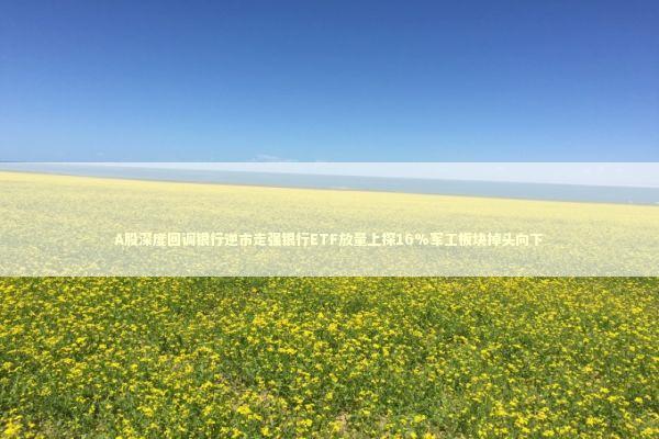 A股深度回调银行逆市走强银行ETF放量上探16%军工板块掉头向下 新闻