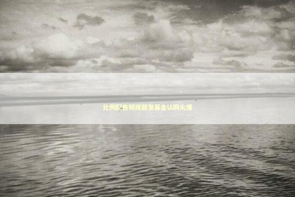 比例配售频现新发基金认购火爆 新闻