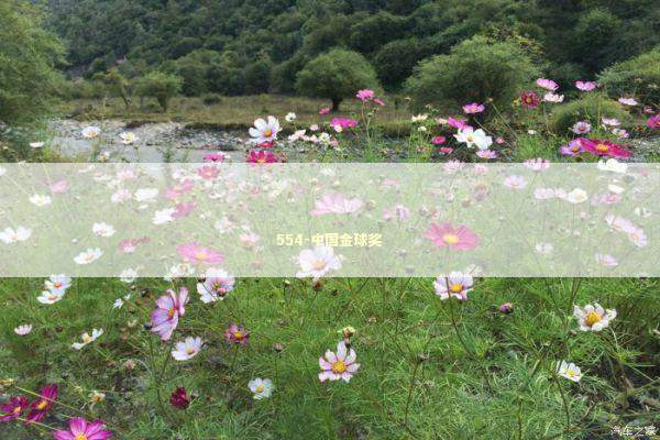 554-中国金球奖 新闻