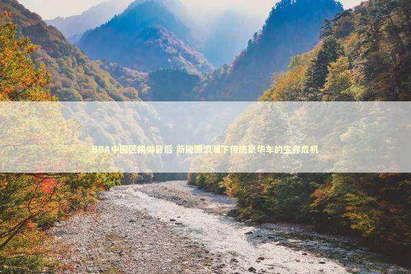 BBA中国区换帅背后 新能源浪潮下传统豪华车的生存危机 新闻