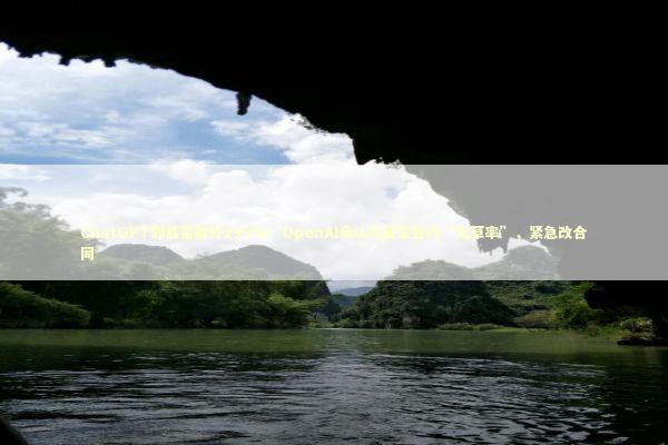 ChatGPT卸载量飙升295%！OpenAI承认与美军签约“太草率”，紧急改合同 新闻