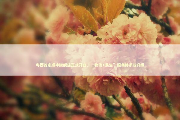 粤西首家顺丰旗舰店正式开业，“物流+民生”服务体系双升级 新闻