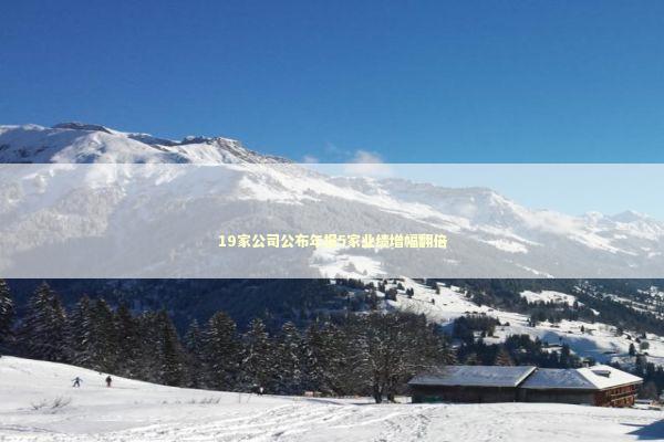 19家公司公布年报5家业绩增幅翻倍 新闻