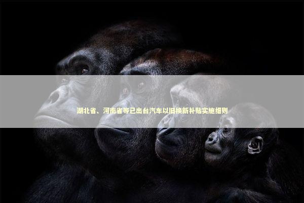 湖北省、河南省等已出台汽车以旧换新补贴实施细则 新闻