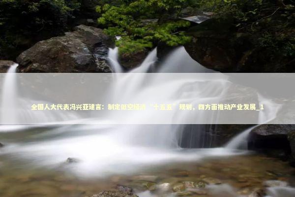 全国人大代表冯兴亚建言：制定低空经济“十五五”规划，四方面推动产业发展_1 新闻