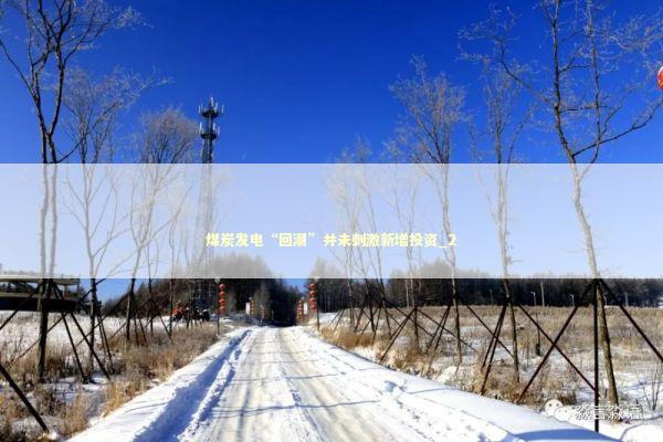 煤炭发电“回潮”并未刺激新增投资_2 新闻