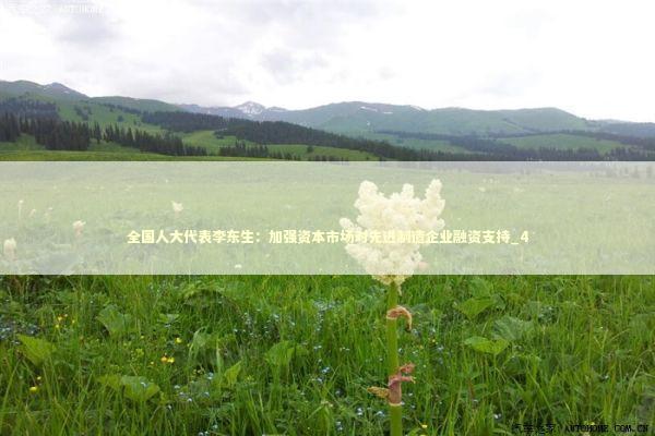 全国人大代表李东生：加强资本市场对先进制造企业融资支持_4 新闻