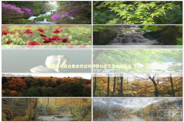 美国多地民众集会抗议对伊朗动武引发市场关注_4 美国多地民众集会抗议对伊朗动武引发市场关注_4 新闻