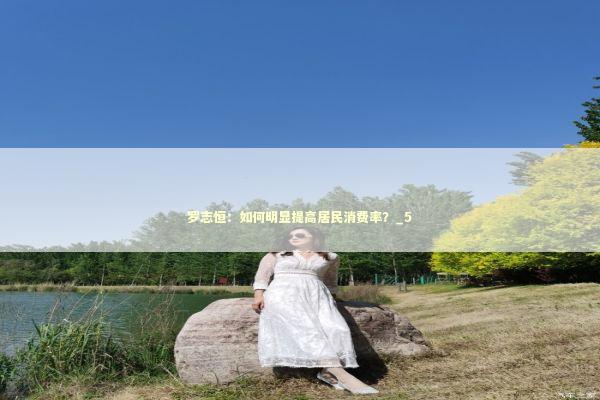 罗志恒：如何明显提高居民消费率？_5 新闻