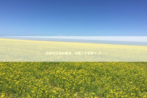 比房价还贵的墓地，中国人不买账了_3 新闻