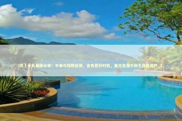 洪灝今天最新分享：不参与短期反弹，会有更好时机，美元走强不利于风险资产_1 新闻