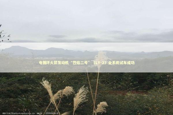 电循环火箭发动机“烈焰二号”（LY-2）全系统试车成功 新闻