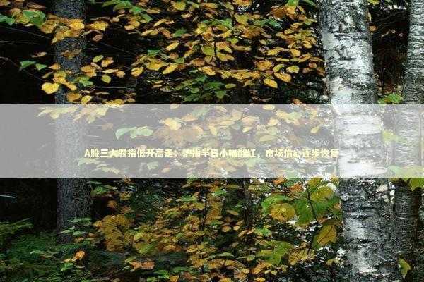 A股三大股指低开高走：沪指半日小幅翻红，市场信心逐步恢复 新闻