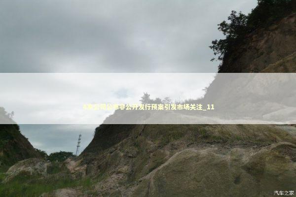 4家公司公布非公开发行预案引发市场关注_11