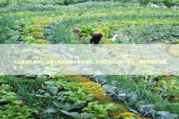 大山里走出来的23岁博士研究生确诊胃癌晚期，抗癌大半年化疗十多次，目前病情暂趋稳定_4 新闻