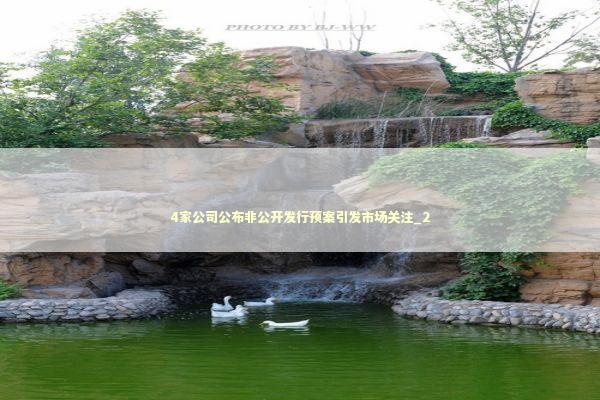 4家公司公布非公开发行预案引发市场关注_2