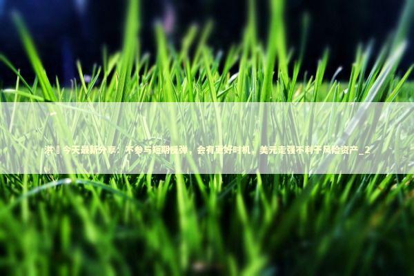 洪灝今天最新分享：不参与短期反弹，会有更好时机，美元走强不利于风险资产_2 新闻