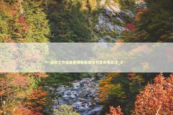 政府工作报告有哪些新提法引发市场关注_2 新闻