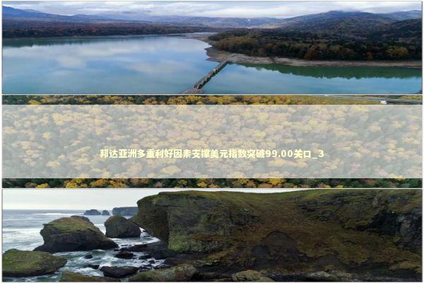 邦达亚洲多重利好因素支撑美元指数突破99.00关口_3 新闻