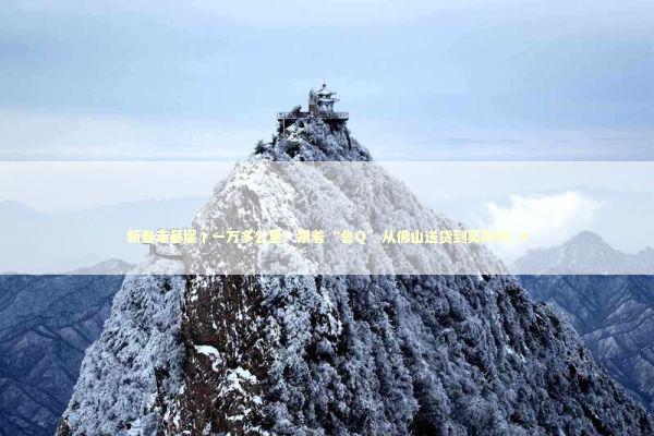 新春走基层丨一万多公里！跟着“鲁Q”从佛山送货到莫斯科_4 新闻