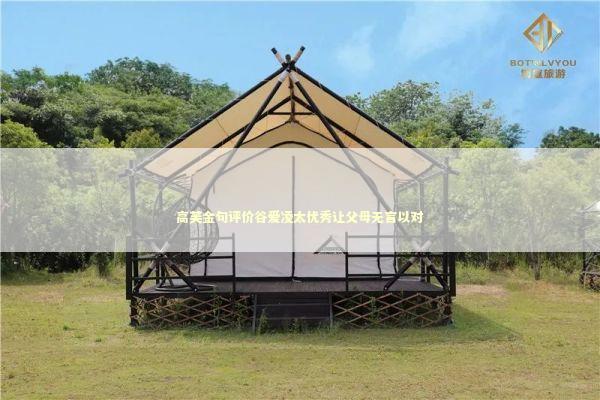 高芙金句评价谷爱凌太优秀让父母无言以对 新闻