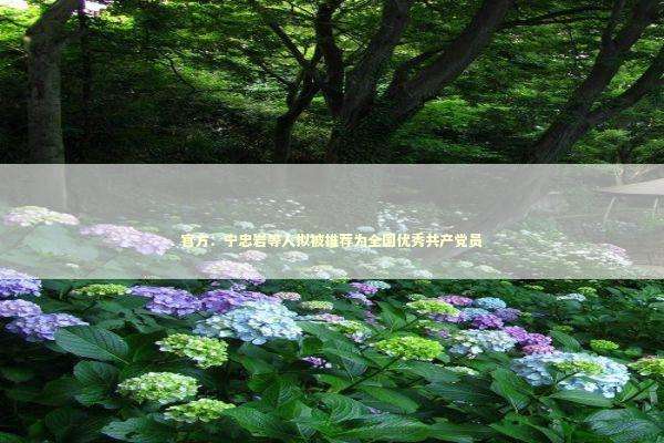 官方：宁忠岩等人拟被推荐为全国优秀共产党员 新闻