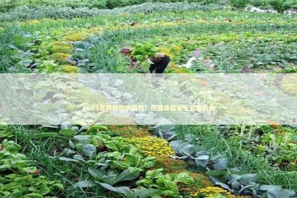 2025年网络防护趋势：把握在线安全管理机会 新闻